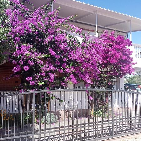 Apartment Drage 17392A Pakoštane Екстериор снимка